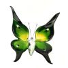 Papillon - Grand