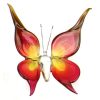 Papillon - Grand