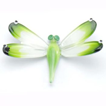 Libelle - Petit