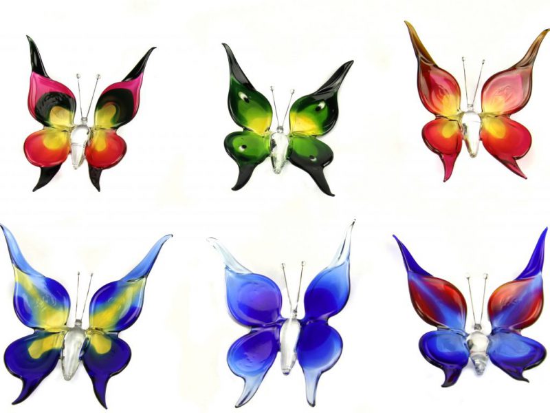 Papillon - Grand