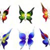 Papillon - Grand