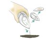 Urne biodégradable - Beyond Life | Turquoise