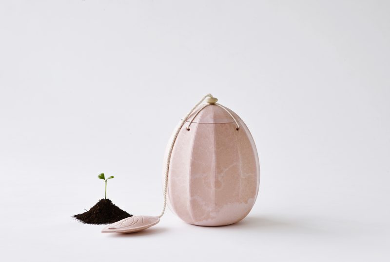 Urne biodégradable - Beyond Life | Rose