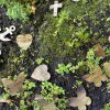 Marqueurs de mémoire - Bois | Mélange de papillons et de coeurs 20 pièces