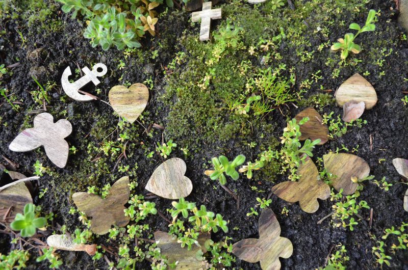 Marqueurs de mémoire - Bois | Mélange de papillons et de coeurs 20 pièces