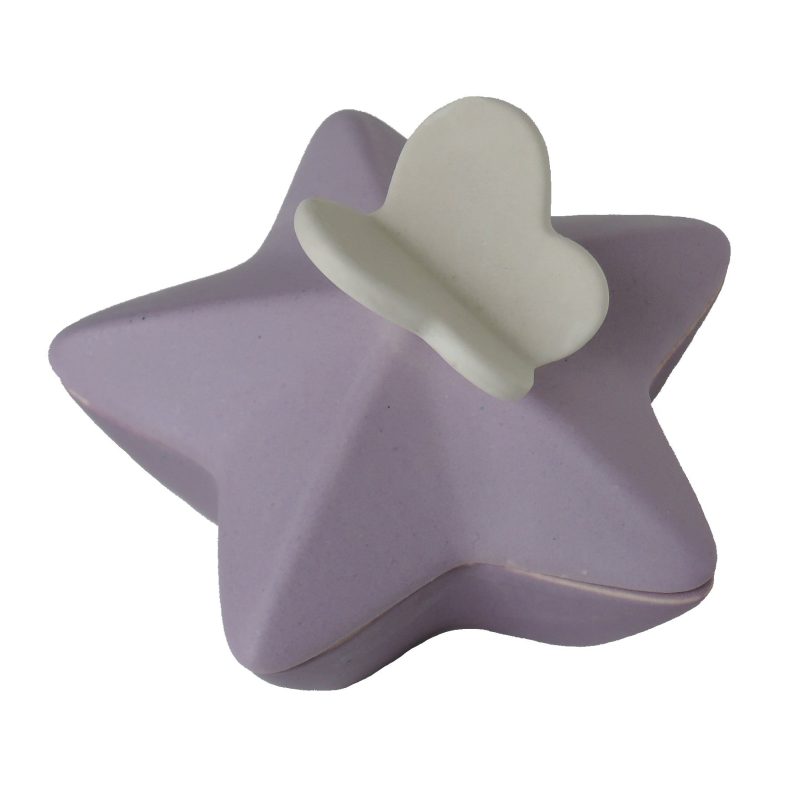 Mini urne - Etoile avec papillon | 0.05 litre