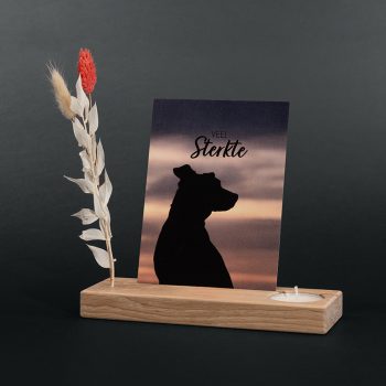Cadeau de réconfort pour animaux de compagnie - Autel commémoratif avec fleurs séchées | Chien