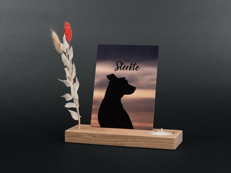 Cadeau de réconfort pour animaux de compagnie - Autel commémoratif avec fleurs séchées | Chien