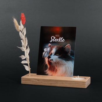 Cadeau de confort pour animaux de compagnie