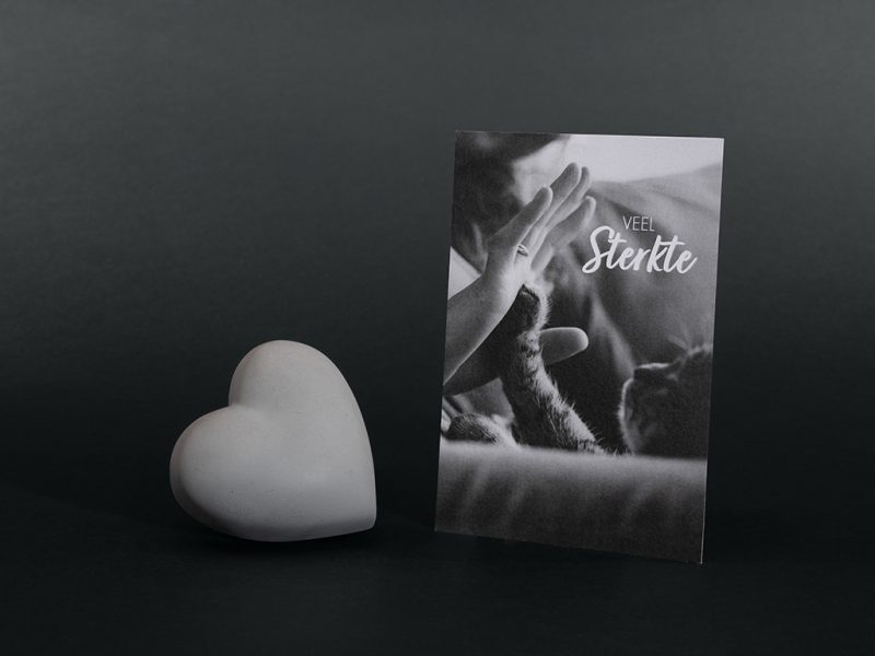 Cadeau de réconfort pour animaux - Pierre commémorative moyenne - Coeur | gris - Chat