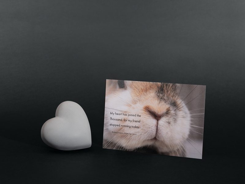 Cadeau de réconfort pour animaux - Pierre commémorative moyenne - Coeur gris - Lapin