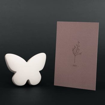 Boîte de confort - Pierre commémorative moyenne | papillon | blanc