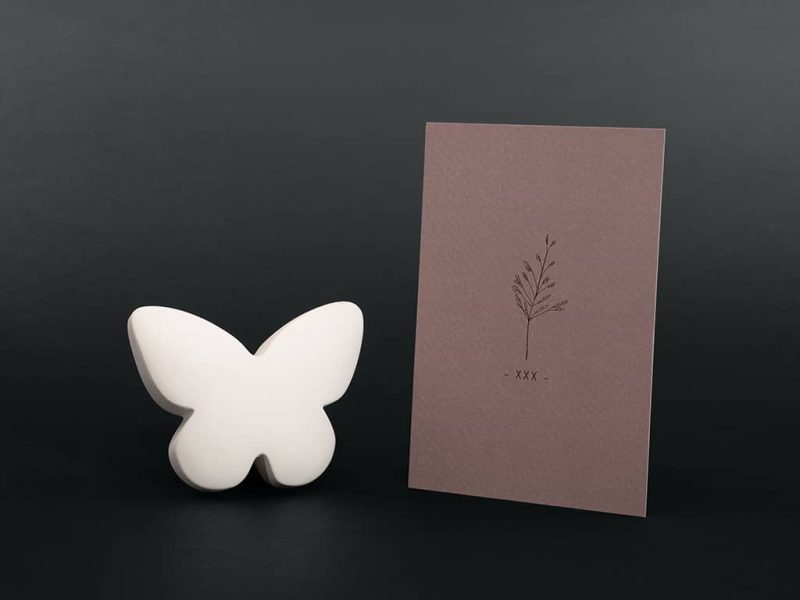 Boîte de confort - Pierre commémorative moyenne | papillon | blanc