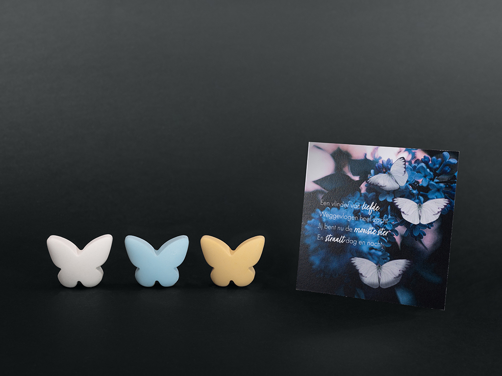 Boîte de rangement mémorielle petite – Mélange papillon bleu | Édition limitée