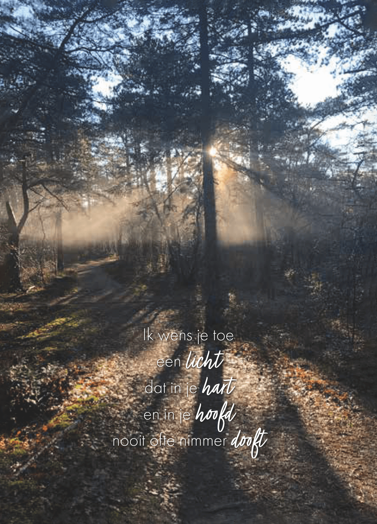 Ik wens je toe een licht - bosachtergrond